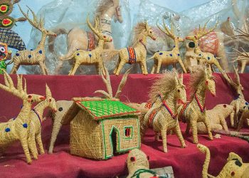 Nghệ phẩm xơ dừa Orissa 10