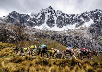 Vẻ đẹp khó quên trên cung đường Santa Cruz