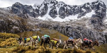 Vẻ đẹp khó quên trên cung đường Santa Cruz