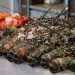 Đại tiệc buffet hải sản - Nhà hàng La Brasserie