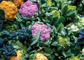 Món ngon từ bông cải - súp lơ 2