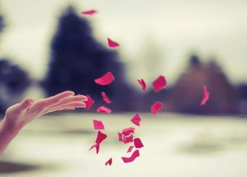 Chuyện nhà tôi: Chế độ tuần tra ban đêm - Trước các điệp khúc