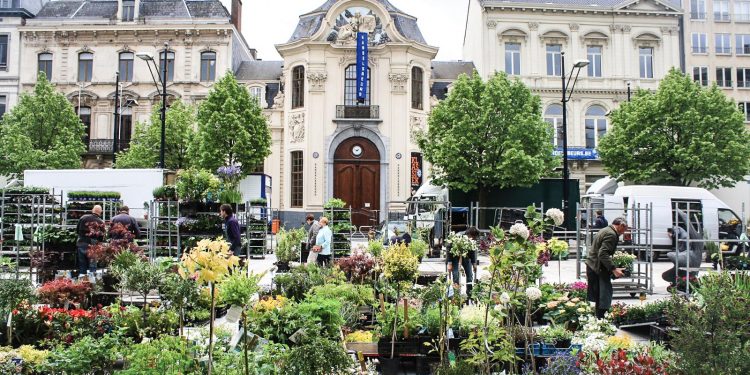 Chợ hoa có nhiều loài lạ mắt với du khách Á Đông 2