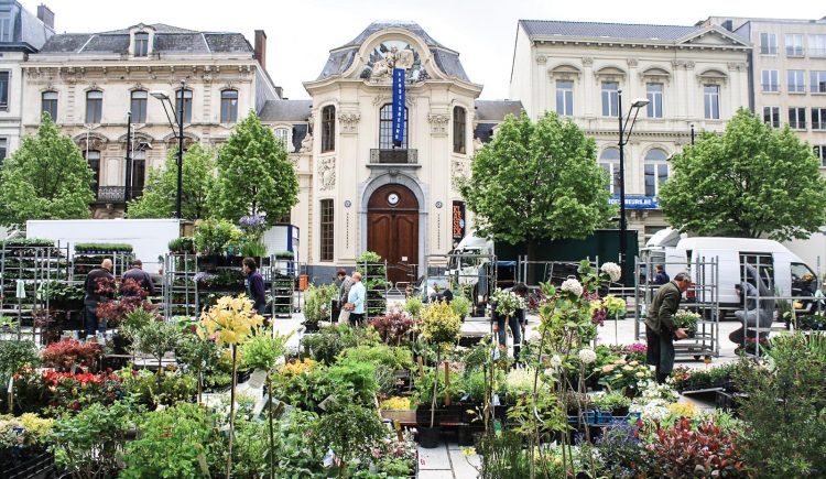 Chợ hoa có nhiều loài lạ mắt với du khách Á Đông 2