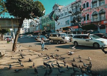 Tour hè giá tốt cho nhóm từ ba khách