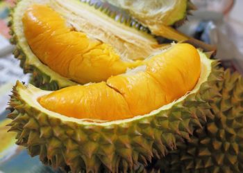 Ăn quá nhiều sầu riêng sẽ làm tăng nồng độ cồn trong hơi thở vượt mức cho phép