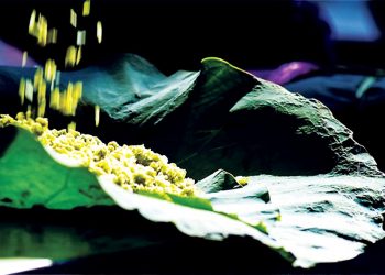 Cốm dẹp - Xôi chiên phồng 1