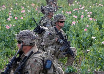 Heroinee là nguyên nhân Mỹ thất bại ở Afghanistan - 1