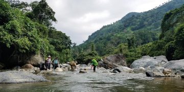 Giấc mơ chapi trên núi đồi Raglai