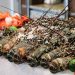 Buffet tối hải sản phong phú