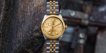 Bộ sưu tập đồng hồ Black Bay 32/36/41 S&G