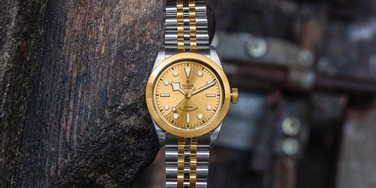 Bộ sưu tập đồng hồ Black Bay 32/36/41 S&G