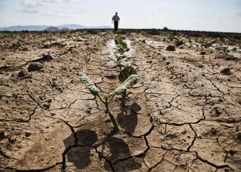 FAO kêu gọi khai thác tiềm năng đổi mới của nông nghiệp để chống hạn hán