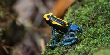 Ảnh đẹp khoa học - 7