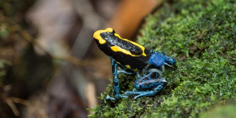 Ảnh đẹp khoa học - 7