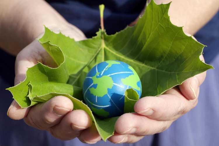 Để khách hàng thật sự ủng hộ những sản phẩm xanh - 4