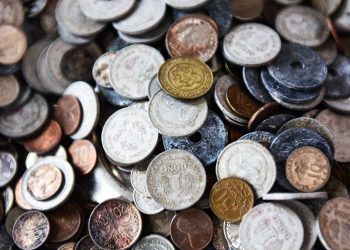 Sự lý thú nhìn từ... đồng tiền Việt Nam - 3