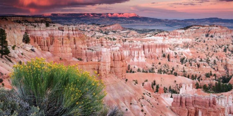 Khám phá rừng đá Bryce Canyon ở Utah nước Mỹ - 1