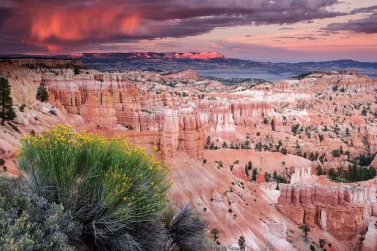 Khám phá rừng đá Bryce Canyon ở Utah nước Mỹ - 1