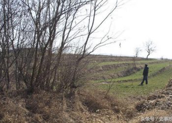 Truy tìm bọn đào trộm khu mộ Tần Đông Lăng - 2