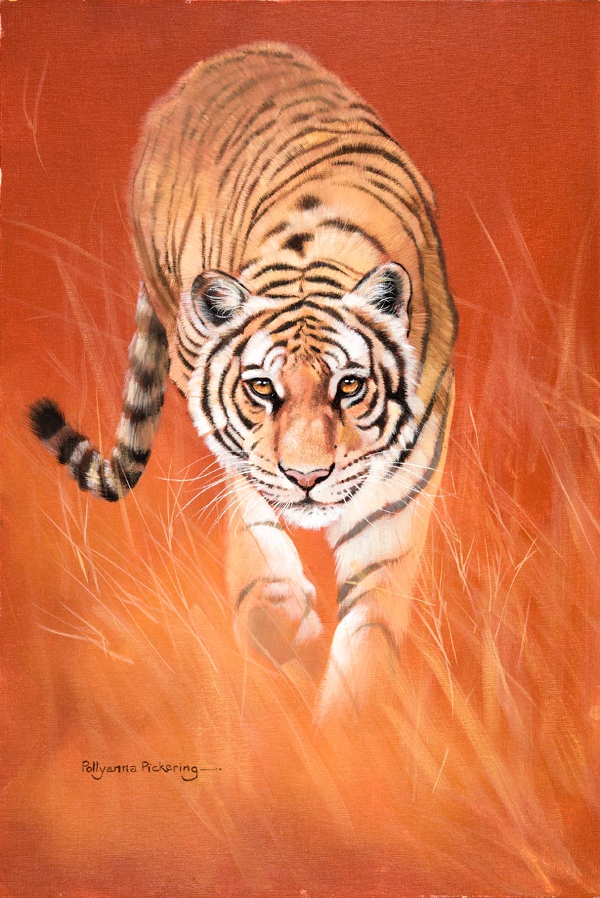 Vẽ tranh con hổ đơn giản  Cách vẽ con hổ đơn giản  Dạy bé vẽ con hổ đơn  giản  YouTube