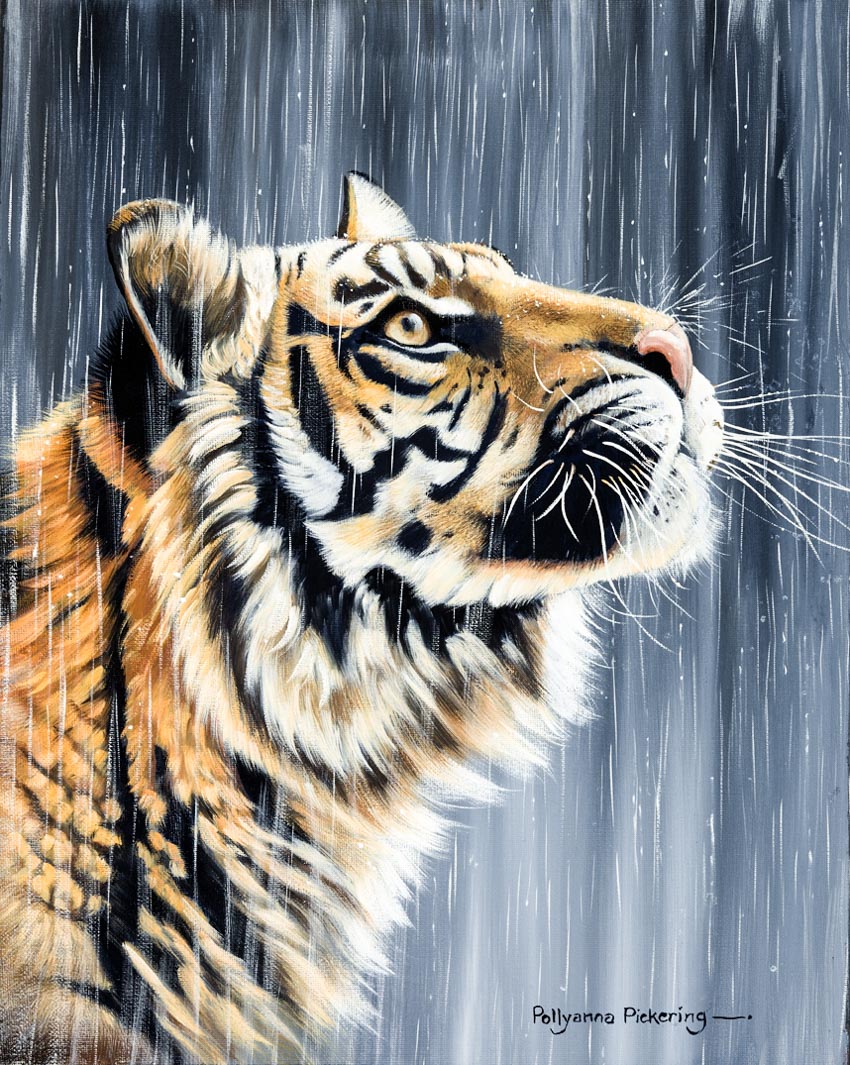 Chi tiết với hơn 315 tranh vẽ con hổ bằng bút chì hay nhất  Tin Học Vui