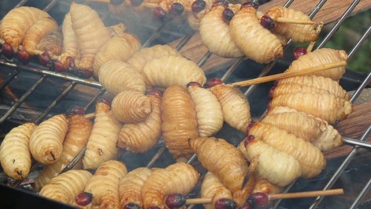 Những cách ăn đuông - 2