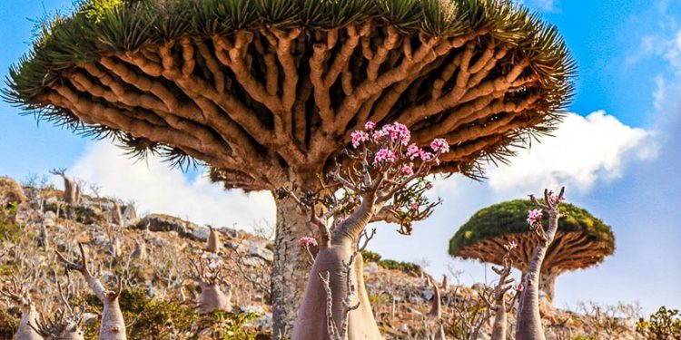 Những hòn đảo kỳ quái nhất trên trái đất - 1