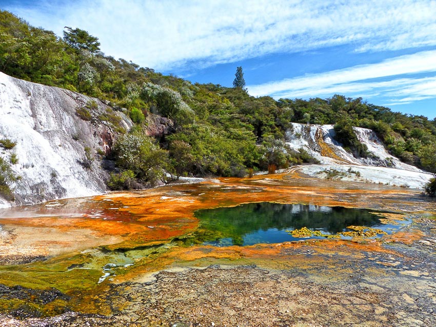 Một thảm vi sinh vật vùng địa nhiệt Orakei Korako, New Zealand