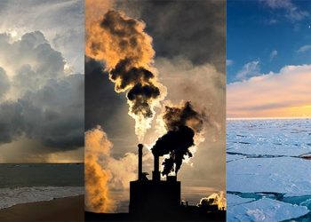 Những sinh vật sở hữu khả năng thích nghi siêu việt nhất - 1