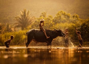 Thoáng nhớ những nghề làm mướn xưa!