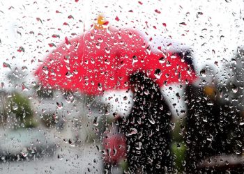 Tiếng mưa xưa - Mưa ngủ trong hồn - 4