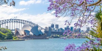 Tour du lịch ngắm hoa phượng tím ở Nam Phi và Úc 4