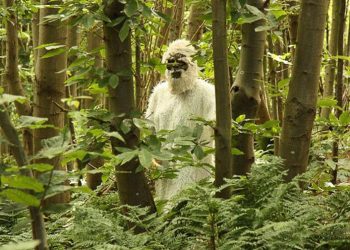 Truyền thuyết và bằng chứng khoa học về người khổng lồ - 10