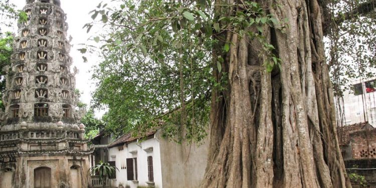 Về Đường Lâm, thăm chùa Mía - 6