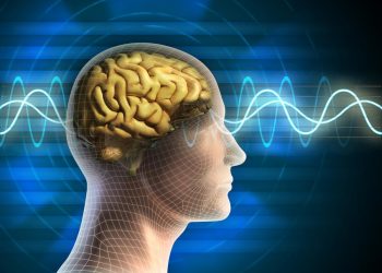 Tìm thấy vùng não liên quan đến việc đưa ra quyết định - 2