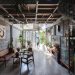 Chiếc lồng trong đô thị - 4