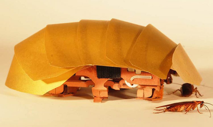 Khi Origami gợi ý cho những sáng tạo khoa học