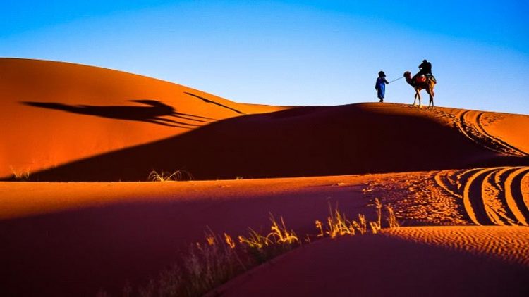 Chuyện kỳ quái ở sa mạc Sahara - 1