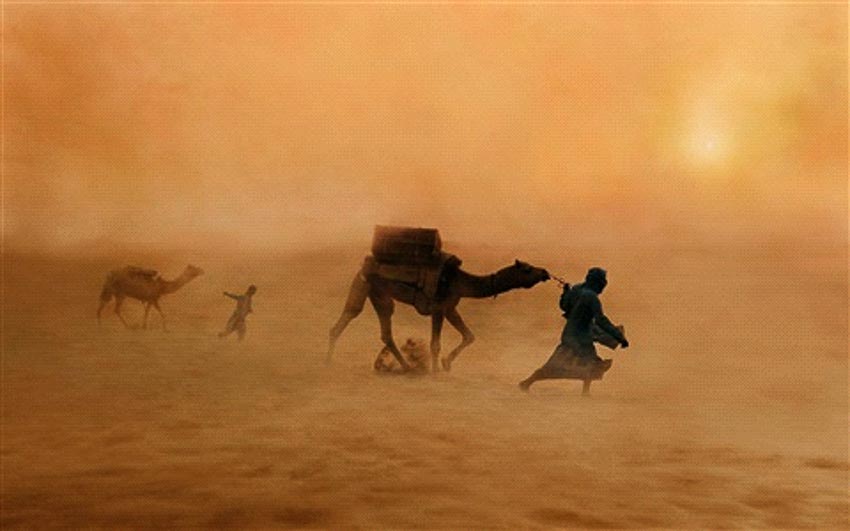 Chuyện kỳ quái ở sa mạc Sahara - 11