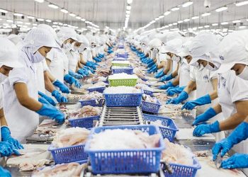 Trung Quốc đứng ngoài top 3 thị trường có giá trị thủy sản tăng mạnh của Việt Nam - 1