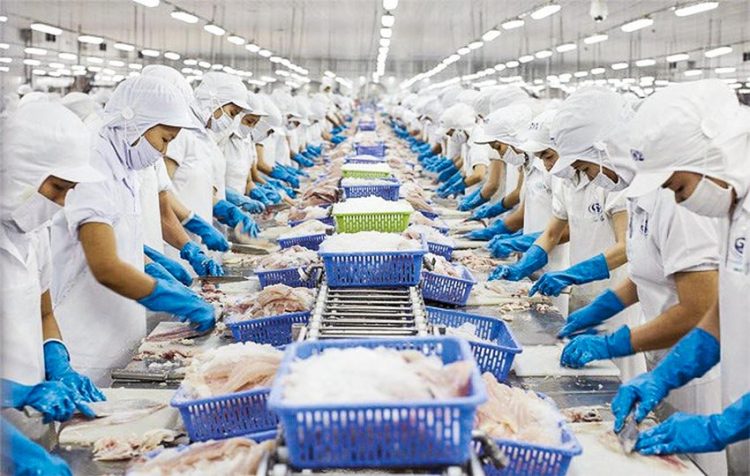 Trung Quốc đứng ngoài top 3 thị trường có giá trị thủy sản tăng mạnh của Việt Nam - 1