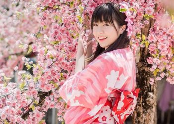 Năm học bổng du học Nhật Bản được săn đón - 1