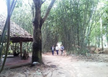 Đến làng tre Phú An - 7