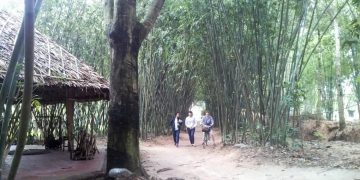 Đến làng tre Phú An - 7