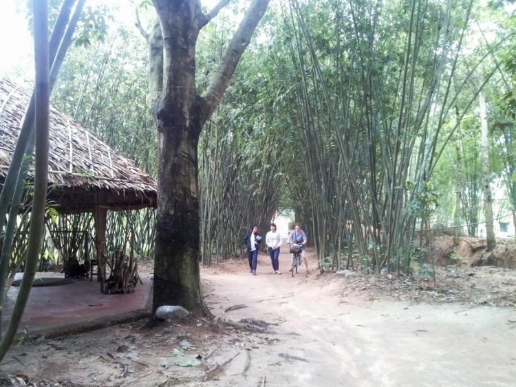 Đến làng tre Phú An - 7
