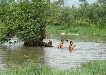 Miền Tây Nam bộ - Nhớ ngày tắm sông, mò tôm, móc lịch - 4