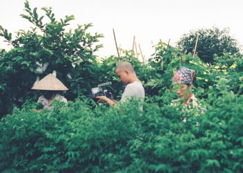 Trò chuyện Nghệ thuật làm phim ngắn thử nghiệm Với hai nghệ sĩ Nguyễn Lê Phương Linh và Tạ Minh Đức - 1