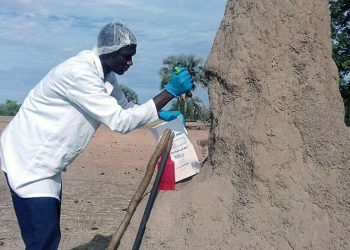 Khi các quốc gia nghèo nghiên cứu khoa học - 1