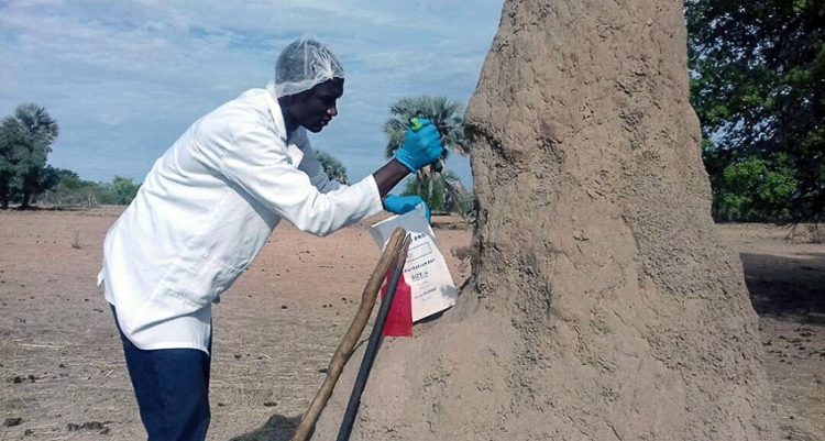 Khi các quốc gia nghèo nghiên cứu khoa học - 1